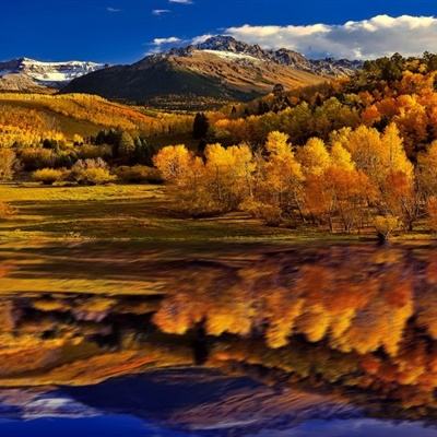 LOL外围官网手机app下载